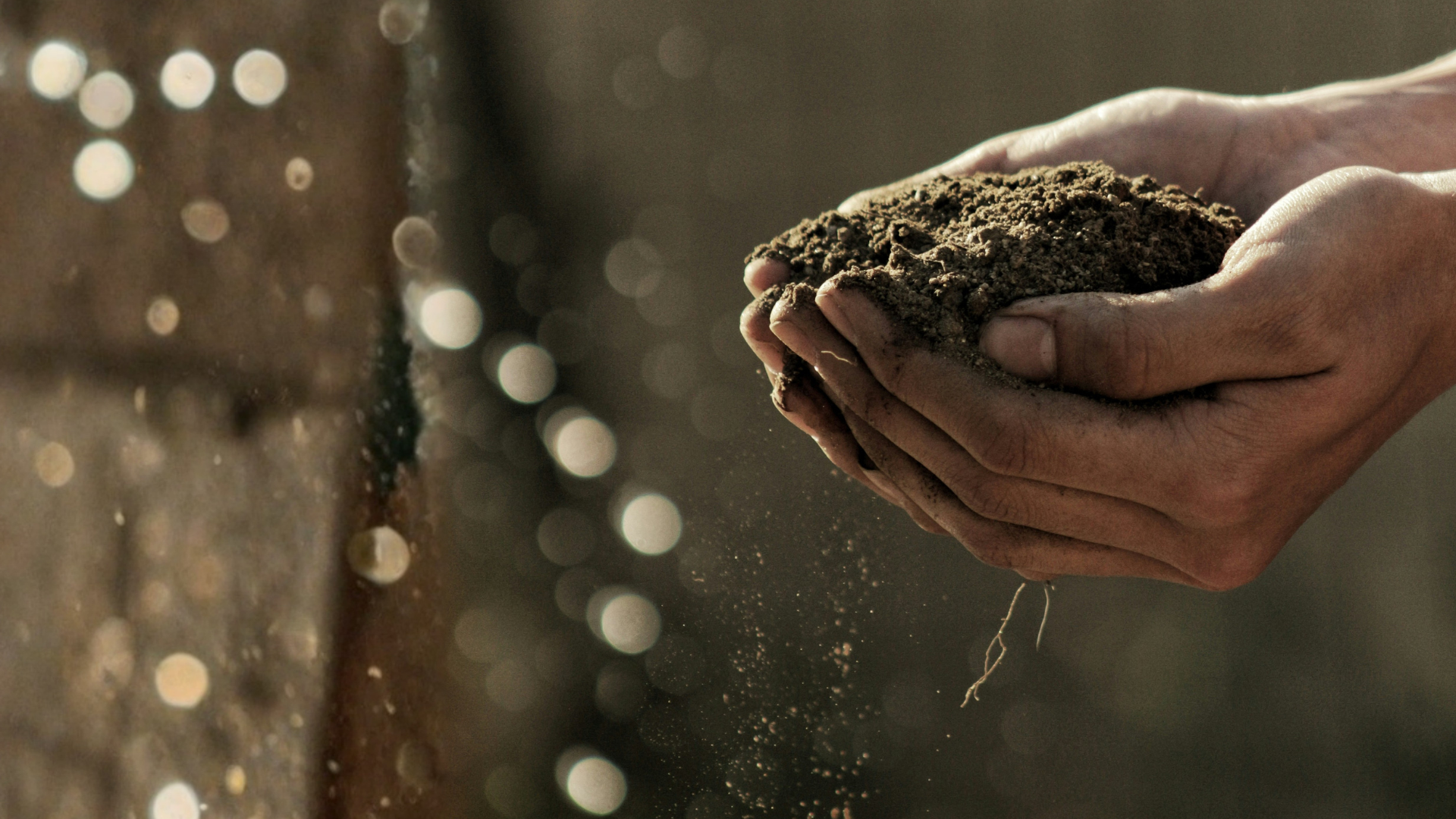 Consultoria Agrícola